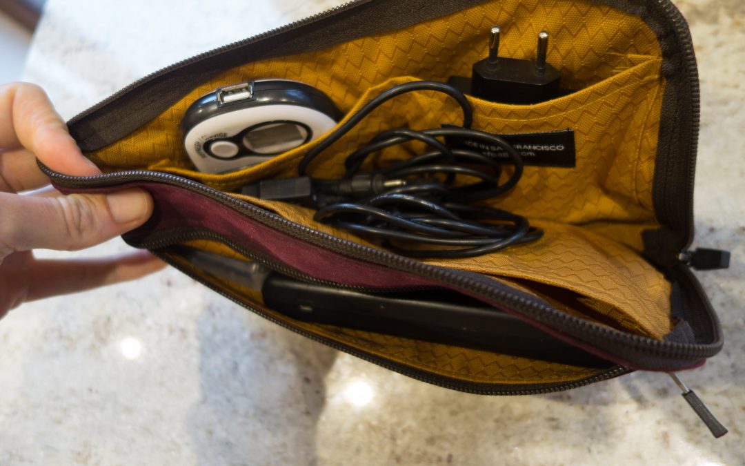 WaterField Gear Pouch